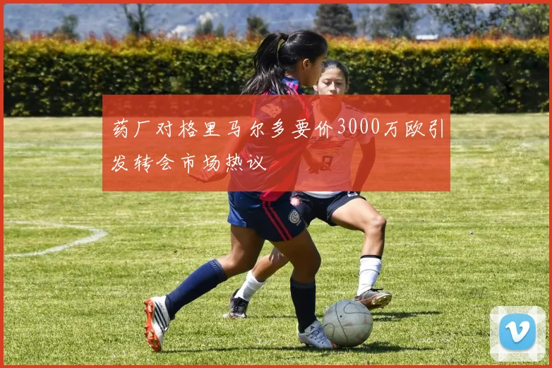 药厂对格里马尔多要价3000万欧引发转会市场热议